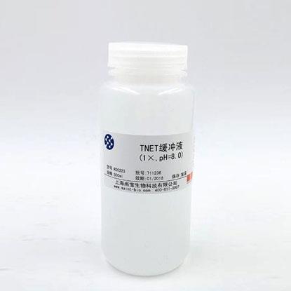 Tris鎂鹽緩沖液（1×，pH=7.8）