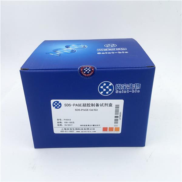 SDS-PAGE凝膠制備試劑盒