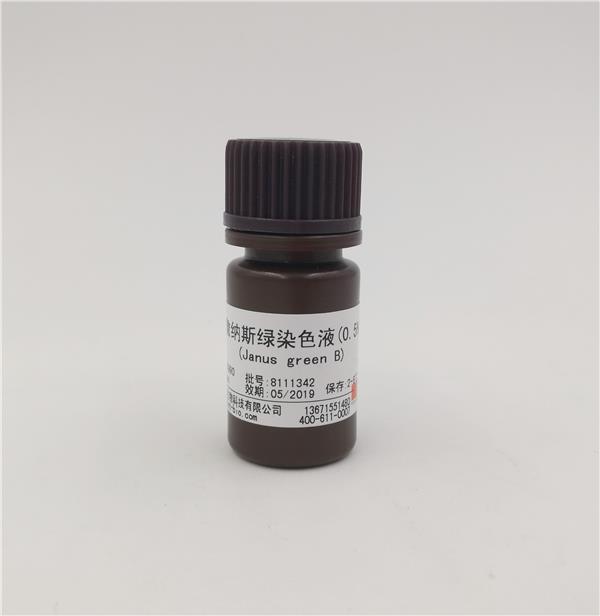 詹納斯綠染色液（Janus green B ,0.5%）